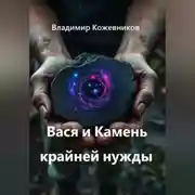Постер книги Вася и Камень крайней нужды
