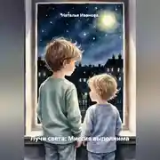 Постер книги Лучи света: Миссия выполнима