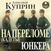Постер книги На переломе (Кадеты). Юнкера
