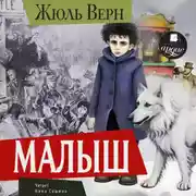 Постер книги Малыш