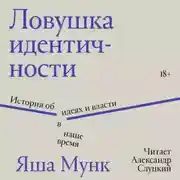 Постер книги Ловушка идентичности
