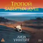 Постер книги Тропой забытых душ