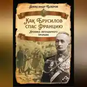 Постер книги Как Брусилов спас Францию. Хроника легендарного прорыва