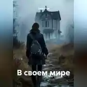 Постер книги В своем мире