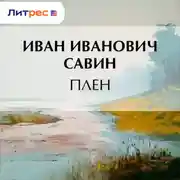 Постер книги Плен