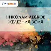 Постер книги Железная воля