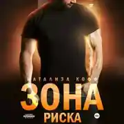 Постер книги Зона риска