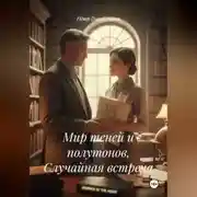 Постер книги Мир теней и полутонов, Случайная встреча