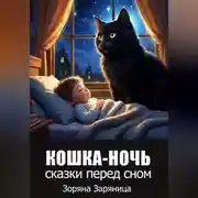 Постер книги Кошка-ночь