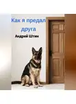 Андрей Штин - Как я предал друга