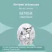 Постер книги Бемби (спектакль)