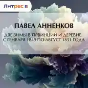 Постер книги Две зимы в провинции и деревне. С генваря 1849 по август 1851 года