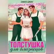 Постер книги Толстушка для близнецов. История плюс-сайз