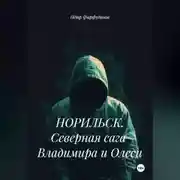 Постер книги НОРИЛЬСК. Северная сага Владимира и Олеси