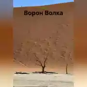 Постер книги Ворон Волка