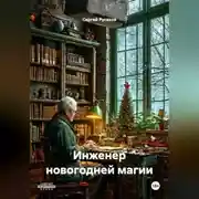 Постер книги Инженер новогодней магии