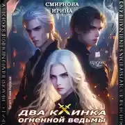 Постер книги Два клинка огненной ведьмы