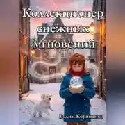 Постер книги Коллекционер снежных мгновений