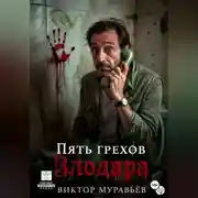 Постер книги Пять грехов Злодара