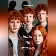 Постер книги Измена – шанс на жизнь.