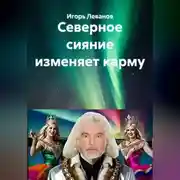 Постер книги Северное сияние изменяет карму