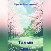 Постер книги Талый снег