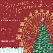 Постер книги Тайный Санта