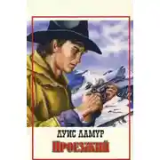 Постер книги Проезжий