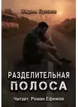 Вадим Булаев - Разделительная полоса