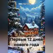 Постер книги Первые 12 дней Нового года