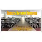 Постер книги За порогом дома