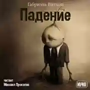 Постер книги Падение