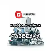 Постер книги Разведка