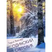 Постер книги Одинокий снеговик