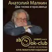 Постер книги Два гнома и красавица