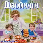 Постер книги Двойчата