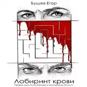 Постер книги Лабиринт Крови