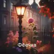 Постер книги Феечка