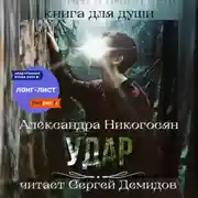 Постер книги Удар