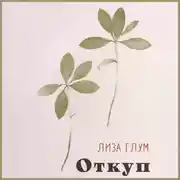 Постер книги Откуп