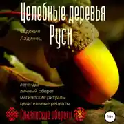 Постер книги Целебные деревья Руси