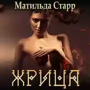 Постер книги Жрица