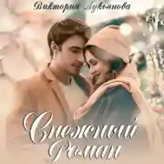 Постер книги Снежный роман