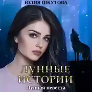 Постер книги Лунная невеста
