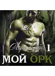 Лора Вайс - Мой орк