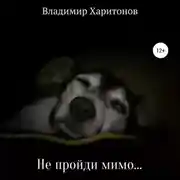 Постер книги Не пройди мимо…