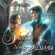 Постер книги Злодей для ведьмы