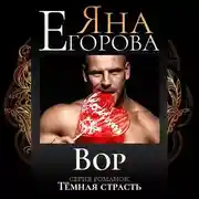 Постер книги Вор