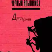 Постер книги Чёрный альпинист