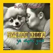 Постер книги Лучшая книга за три дня